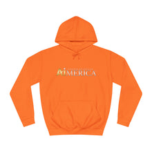 Load image into Gallery viewer, United States of Aimerica™ Brand Unisex College Hoodie
