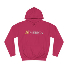 Load image into Gallery viewer, United States of Aimerica™ Brand Unisex College Hoodie
